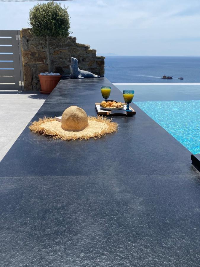 Infinity View Mykonos Holiday home *