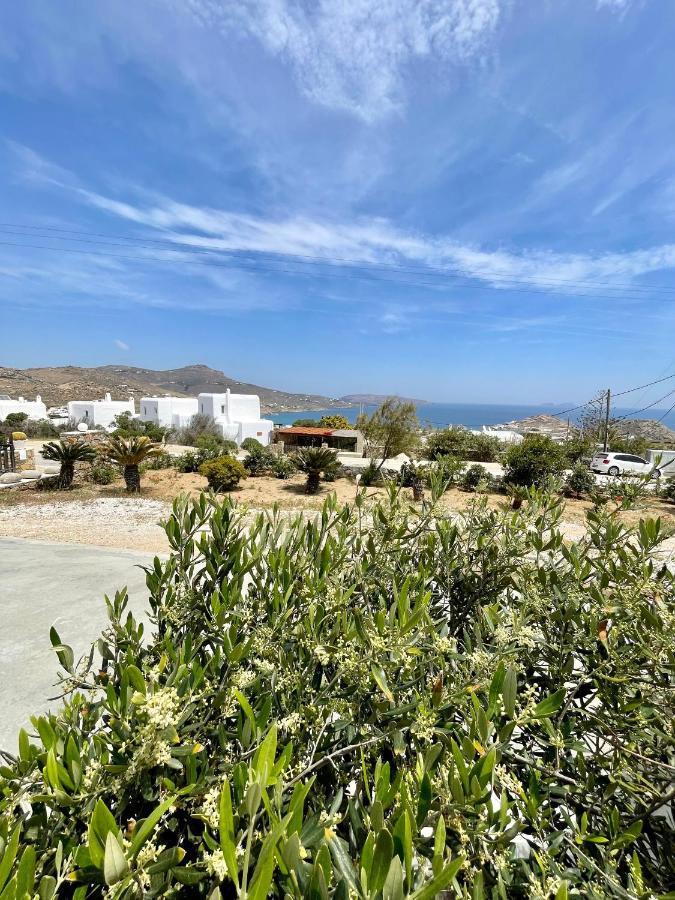 Infinity View Mykonos Holiday home Kalo Livadi